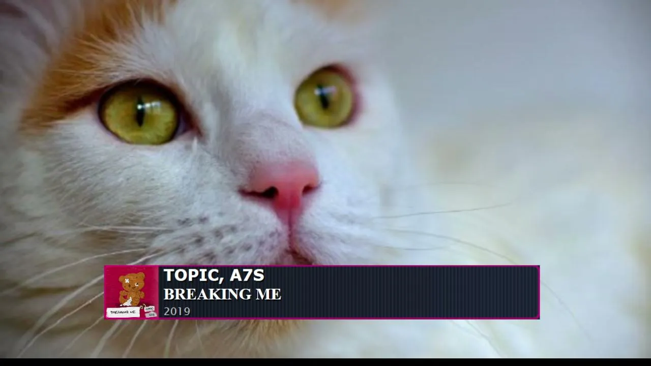 Gxcat live