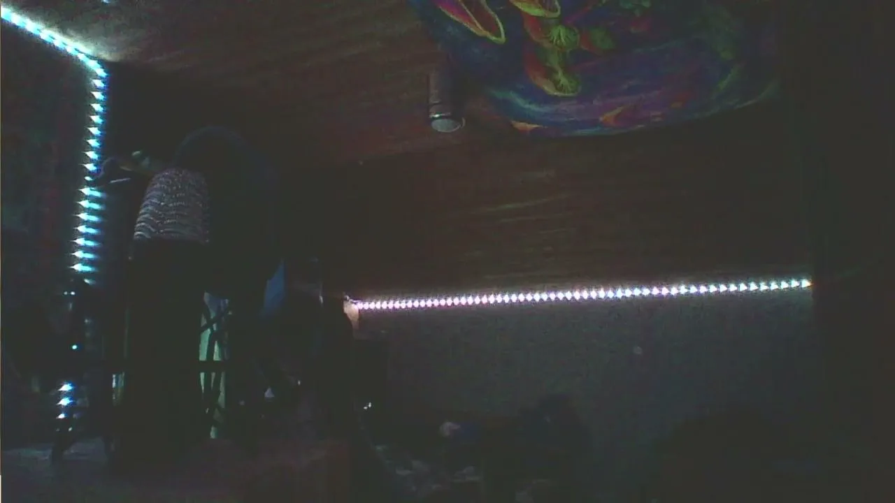 Logan_Hollett live