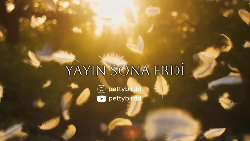 Petibörd !insta !donate !atla !blerp !seslist