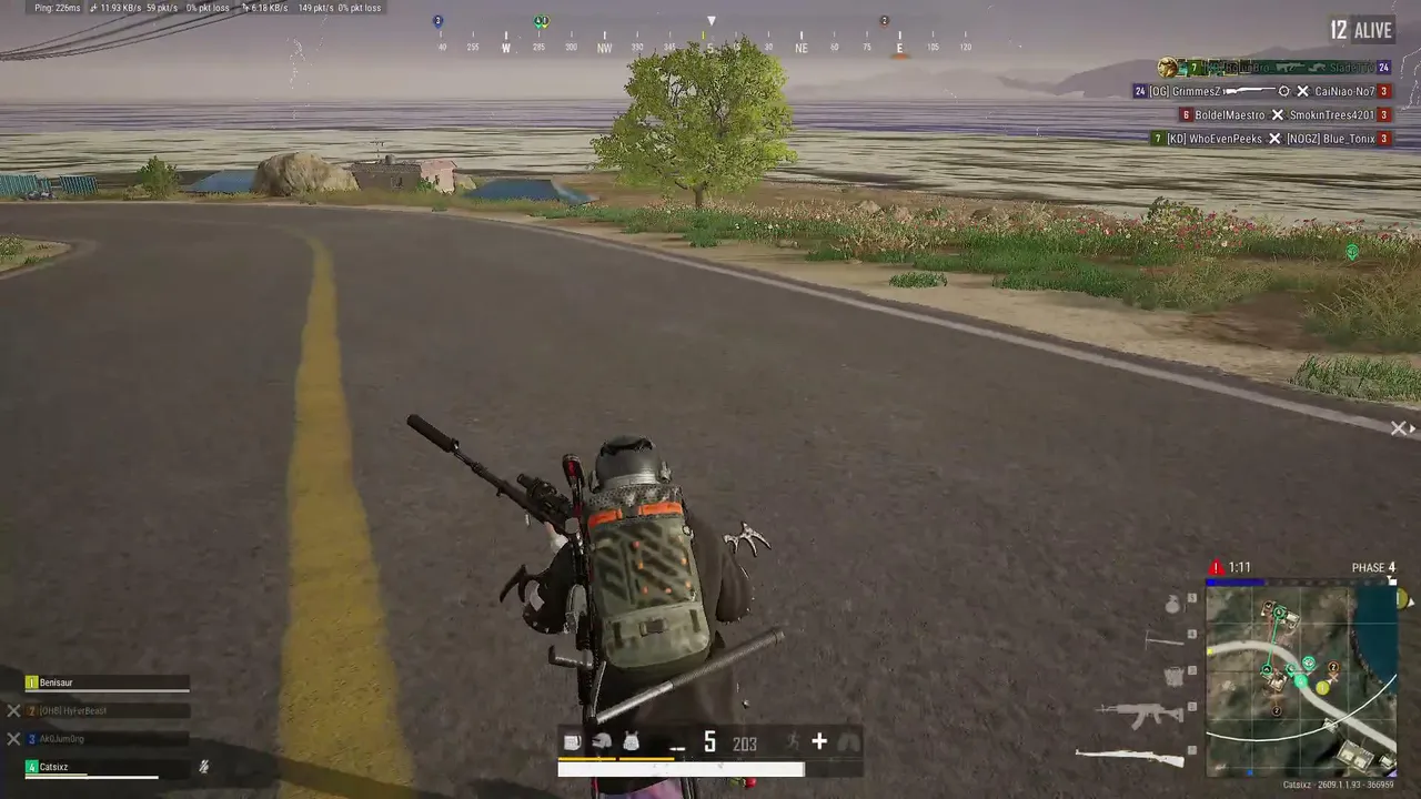 Pechgaming