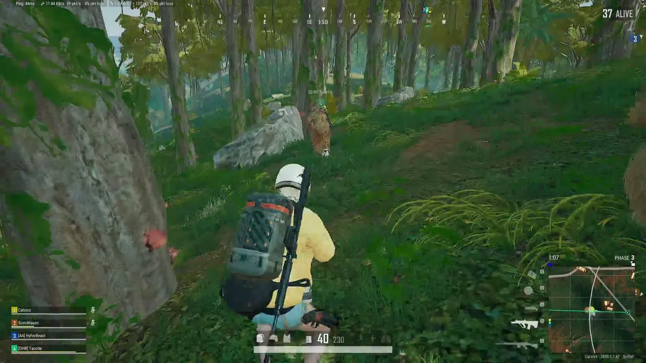 Pechgaming