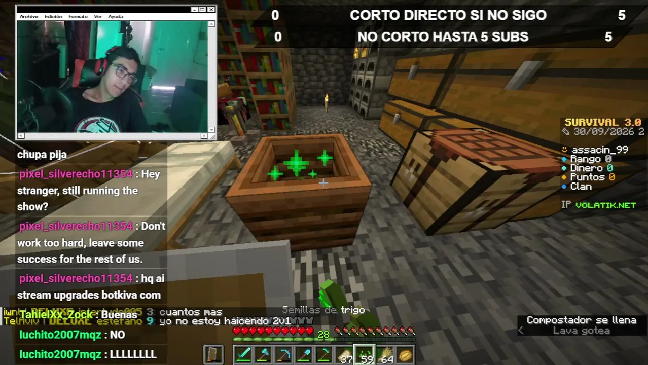 assacin99 live