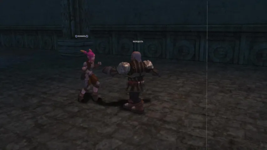 darknovabackspace Lineage 2 stream image