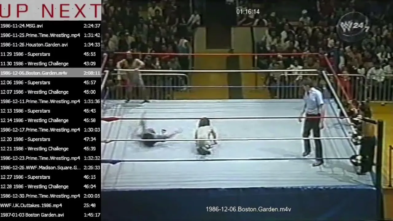 pinkdogfanwrestling