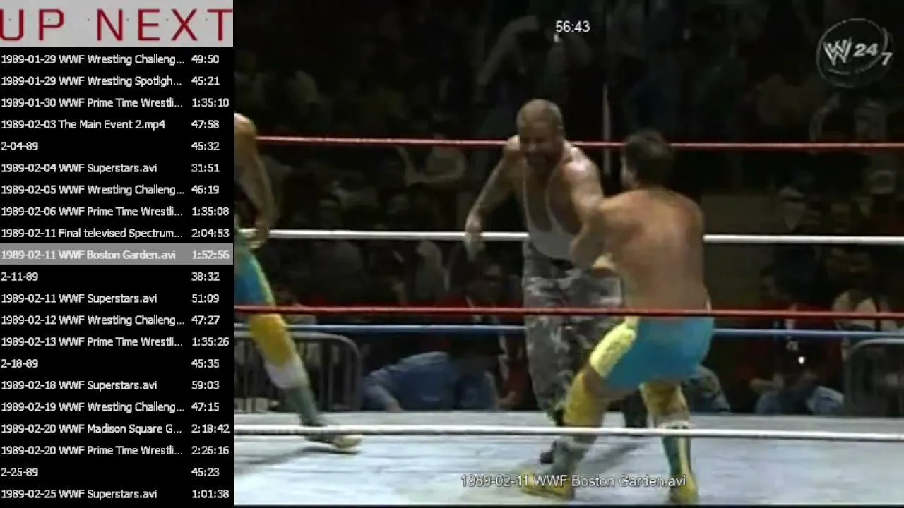 pinkdogfanwrestling