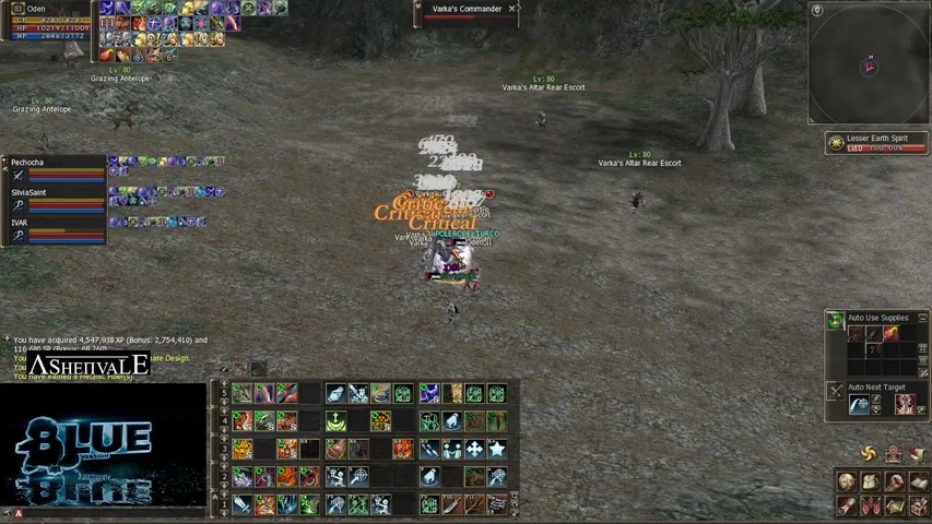 turcoblindado Lineage 2 stream image