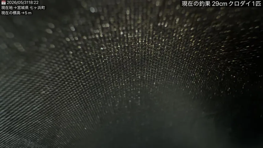 【釣り車中泊】磯でクロダイ釣り【宮城県 七ヶ浜町】