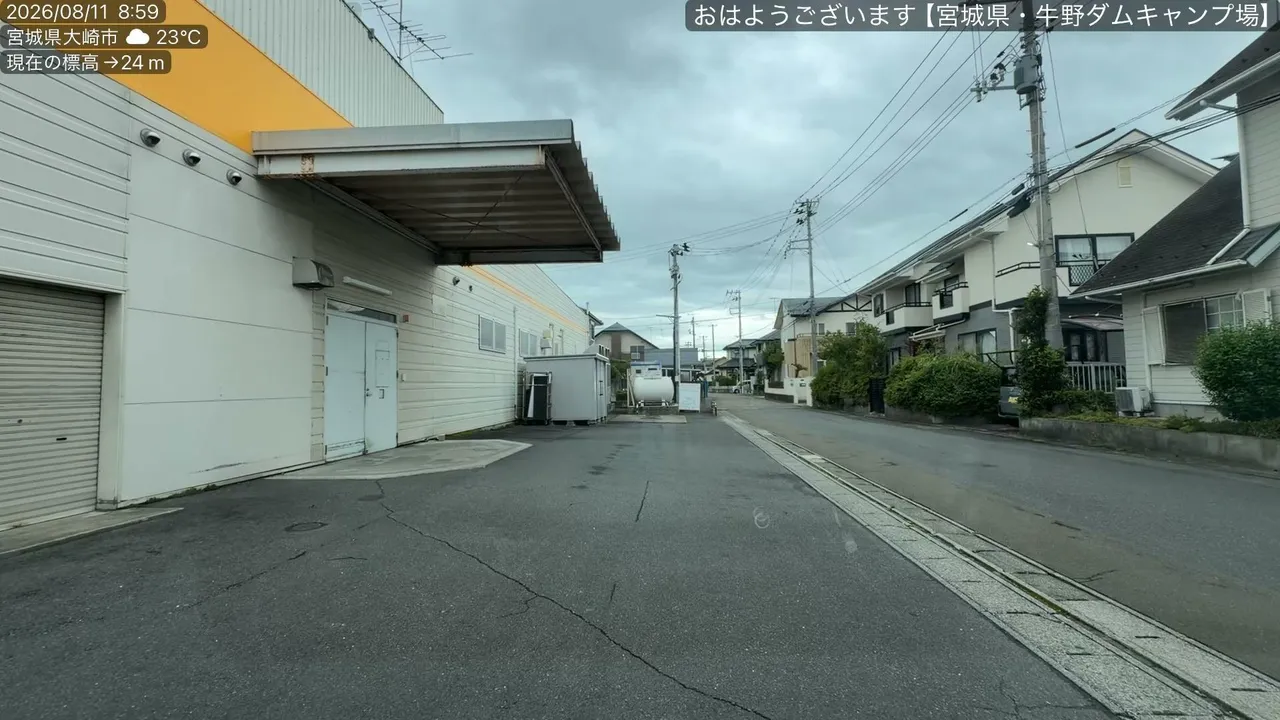 shinkamon live