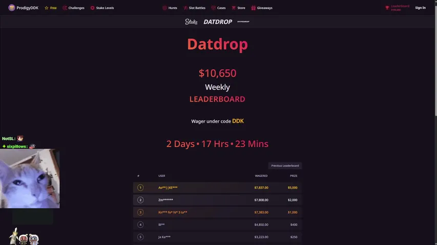 🪙 $1000 START ON !STAKE 🪙 VALKYRIE RAFFLES ENDING SOON 🪙 COZY VIBES