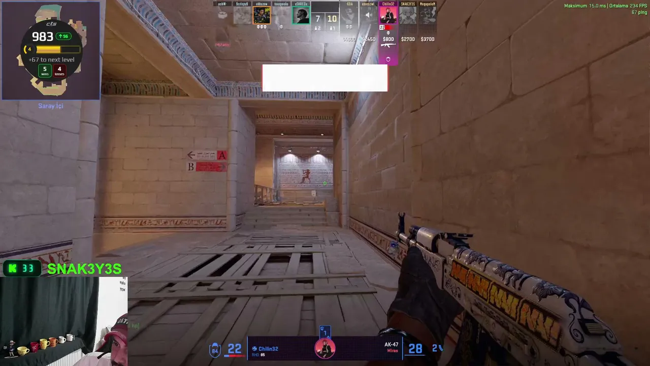 SNAK3Y3S