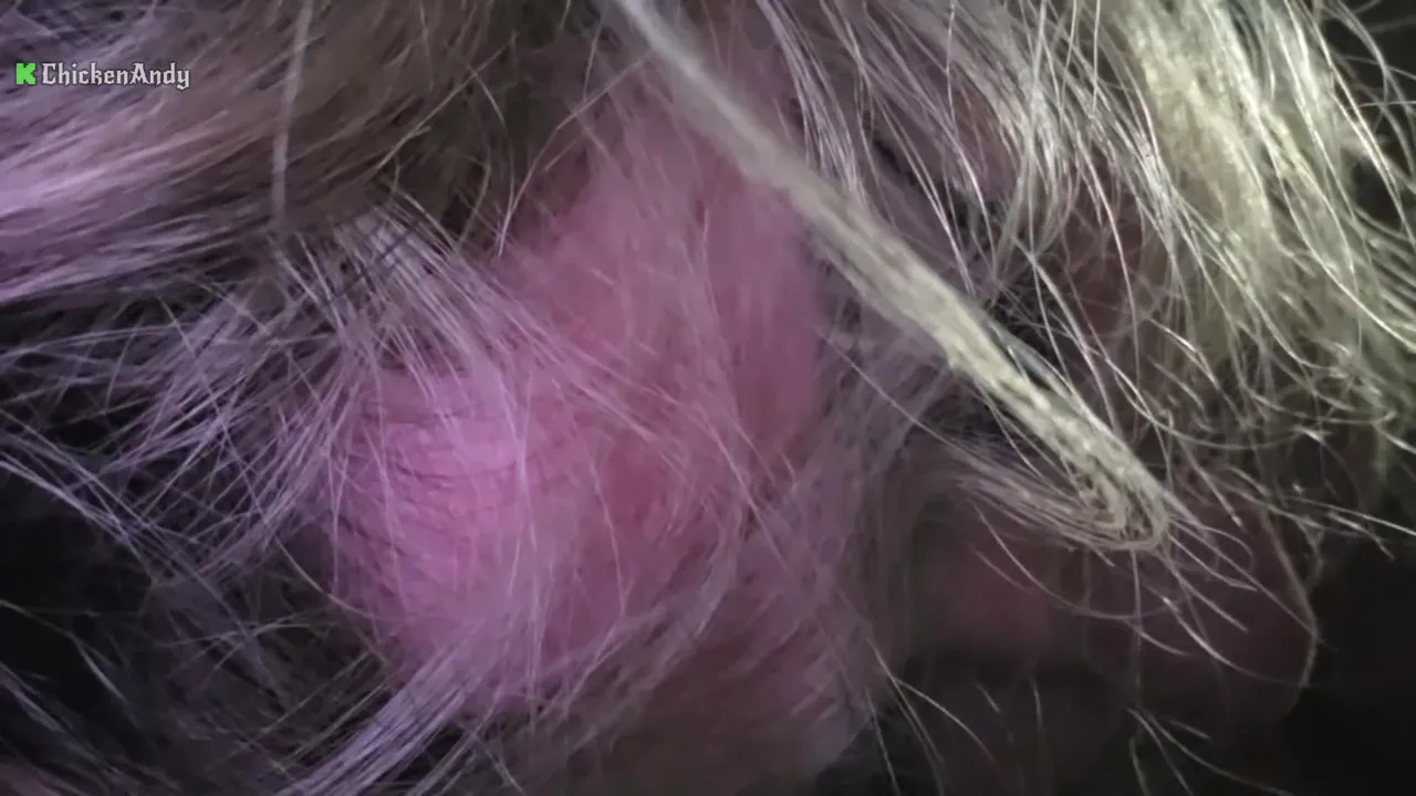 ChickenAndy