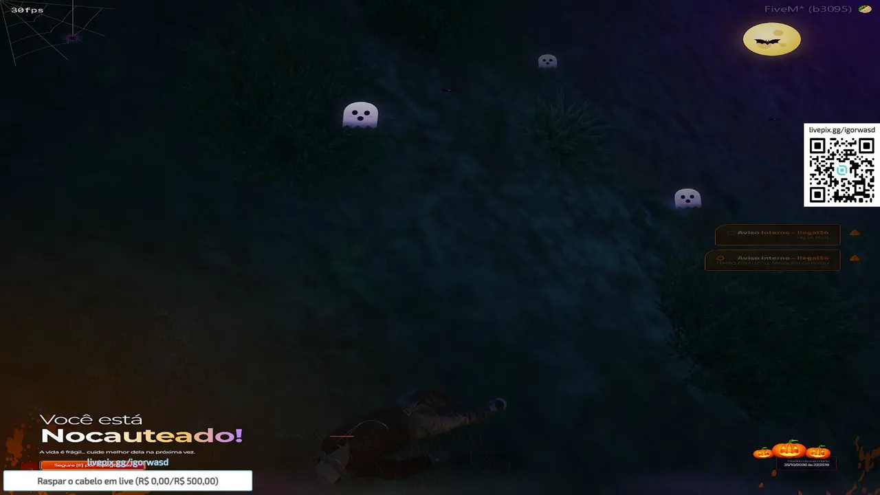 igorwasd live stream