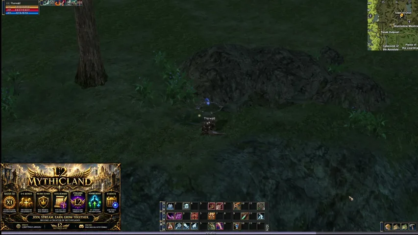 Thorgrimm Lineage 2 stream image