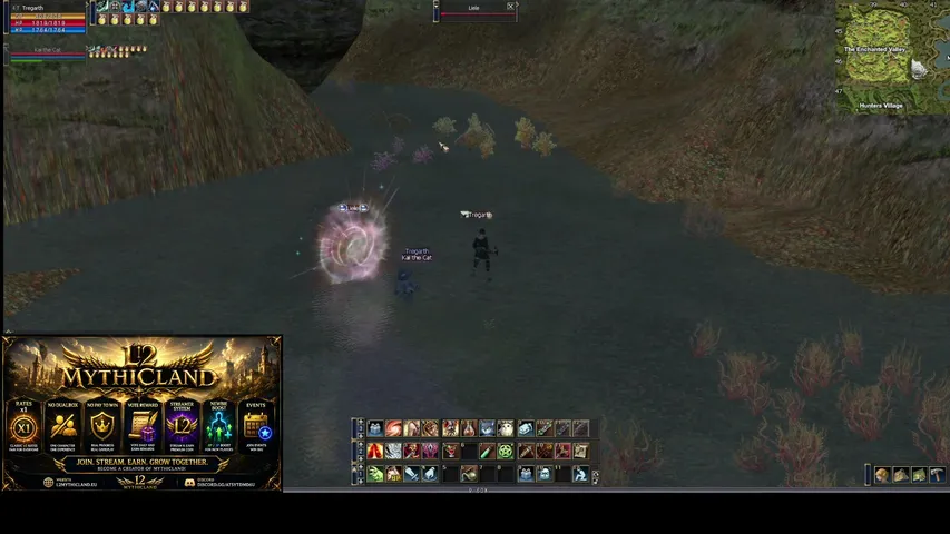 Thorgrimm Lineage 2 stream image