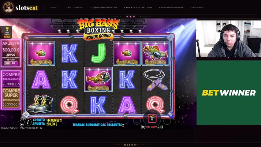 slotscat playing Slots & Casino - Live Casino Stream