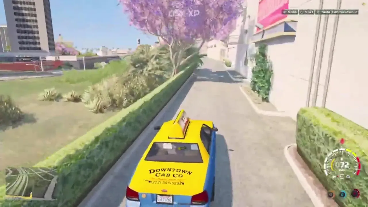 Chinelinhoo live stream