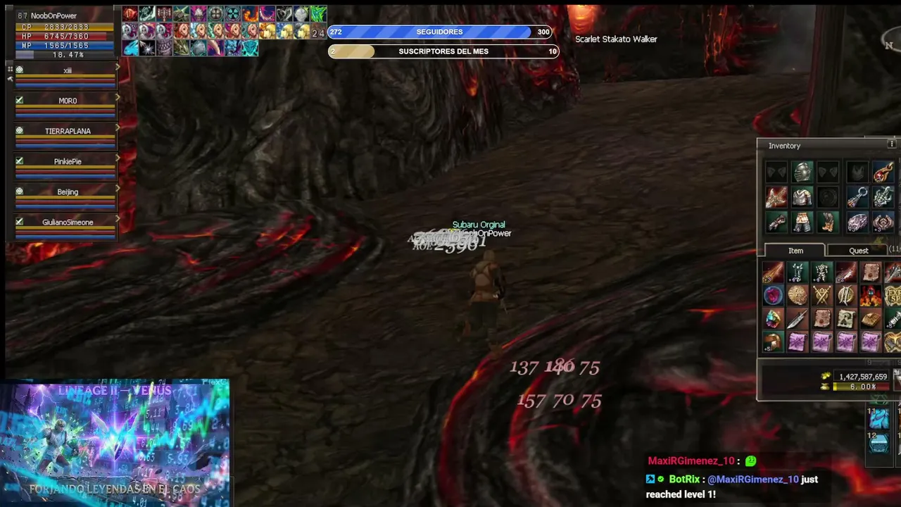 SubaruNOP live