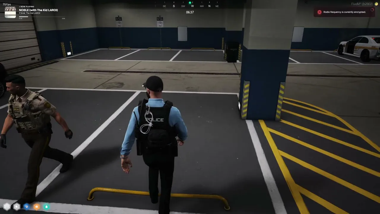 SkiMaskDaniel