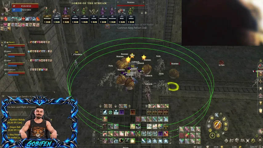 gobifen Lineage 2 stream image