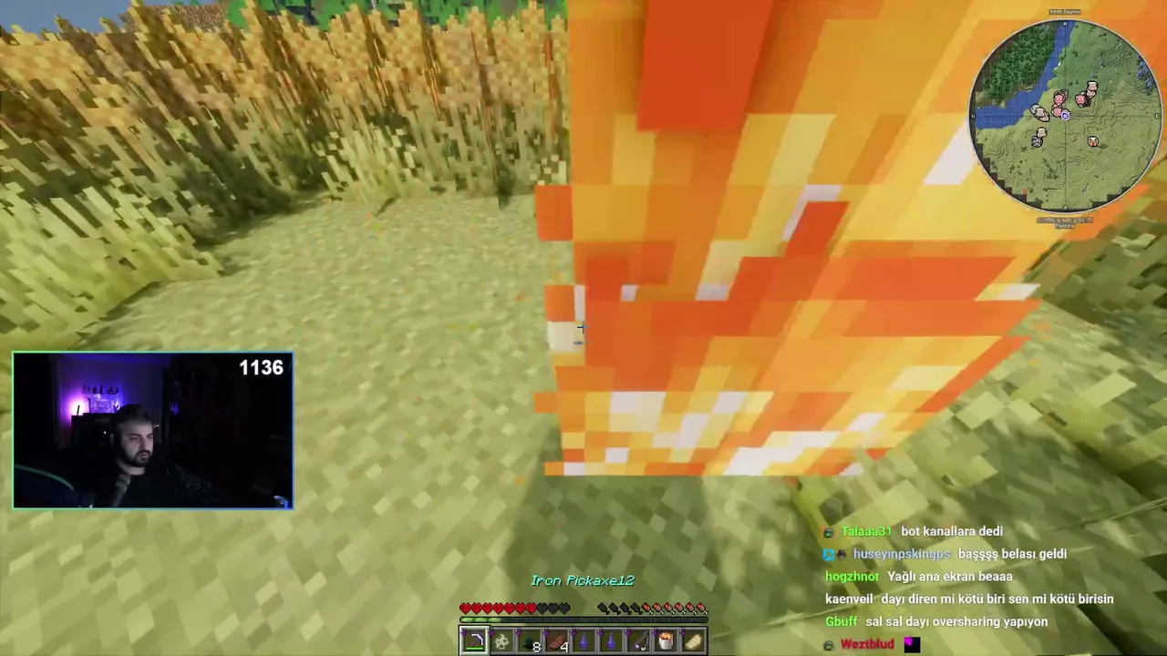 Swaggybark live stream