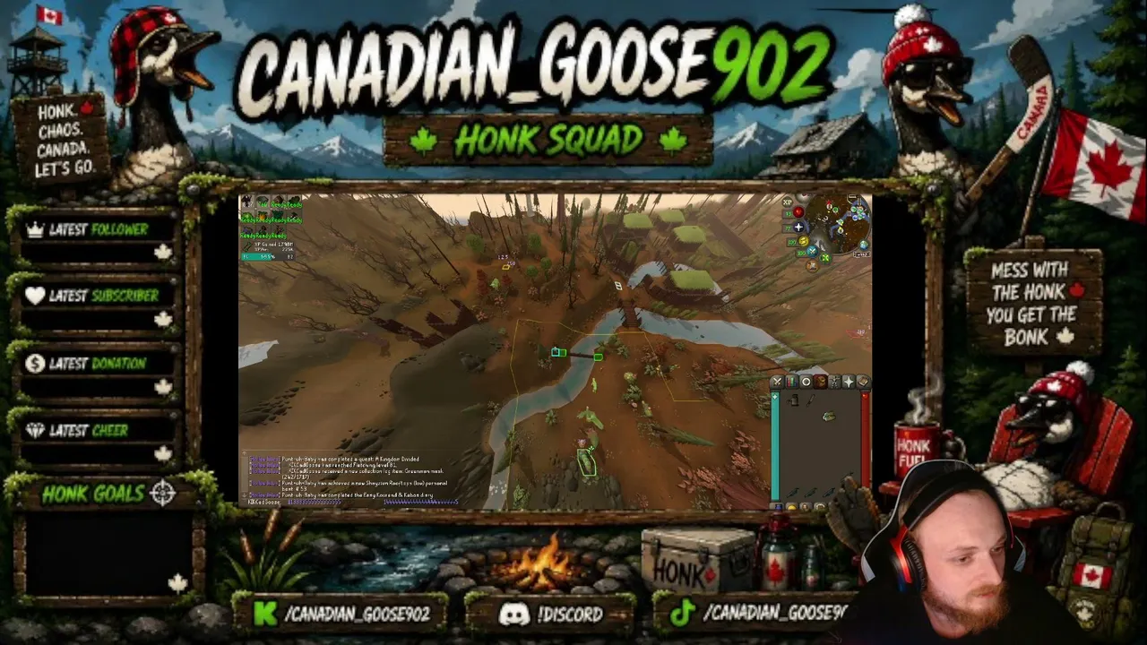 Canadian_Goose902