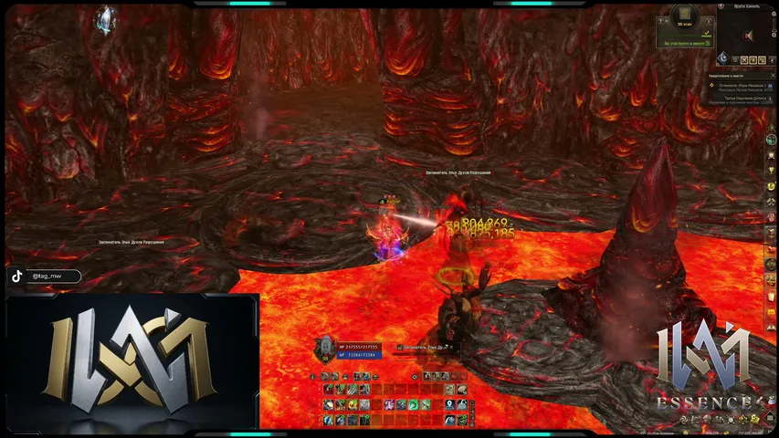 tag-mw Lineage 2 stream image