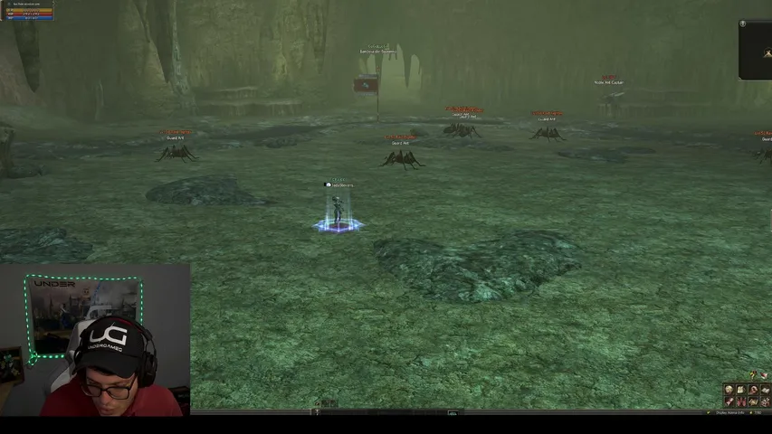 luchocasola Lineage 2 stream image