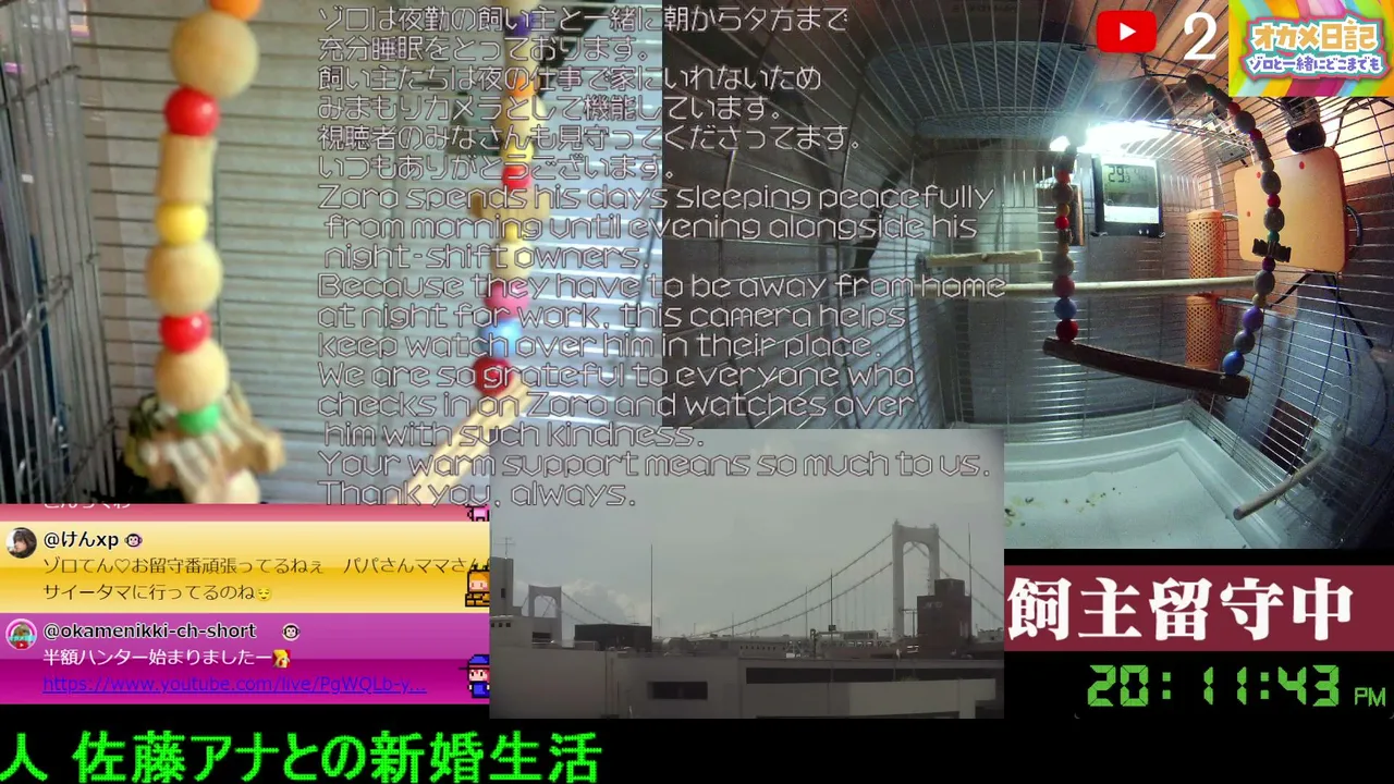 Haijin_root