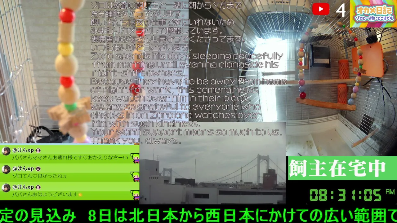 Haijin_root live