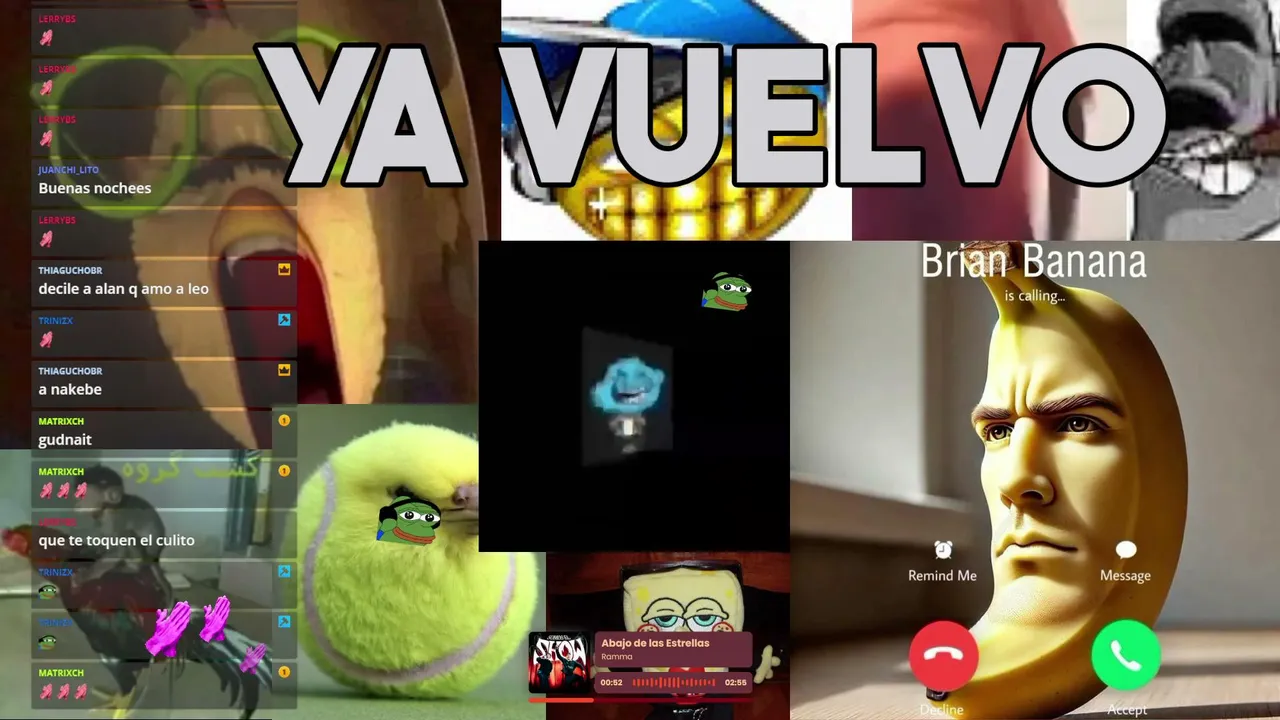 LUCRAXO live stream