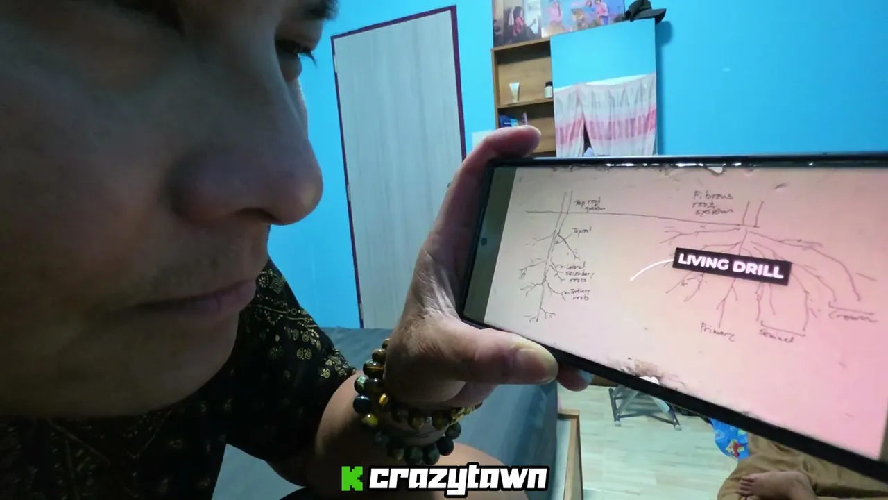 CRAZYTAWN live
