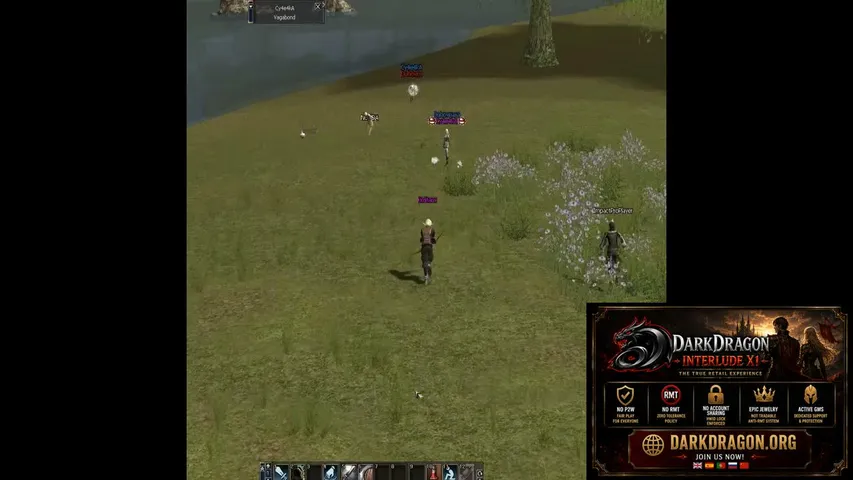 darkdragonclanhalls Lineage 2 stream image