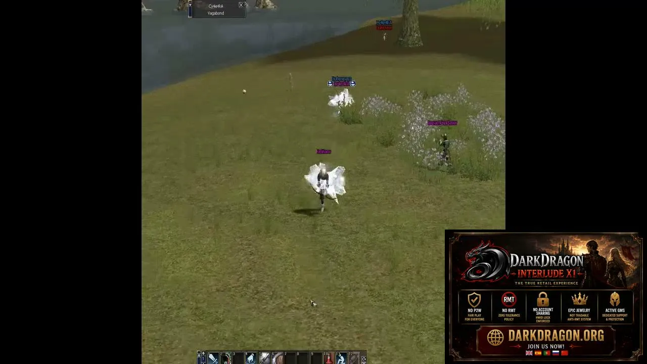 darkdragonclanhalls