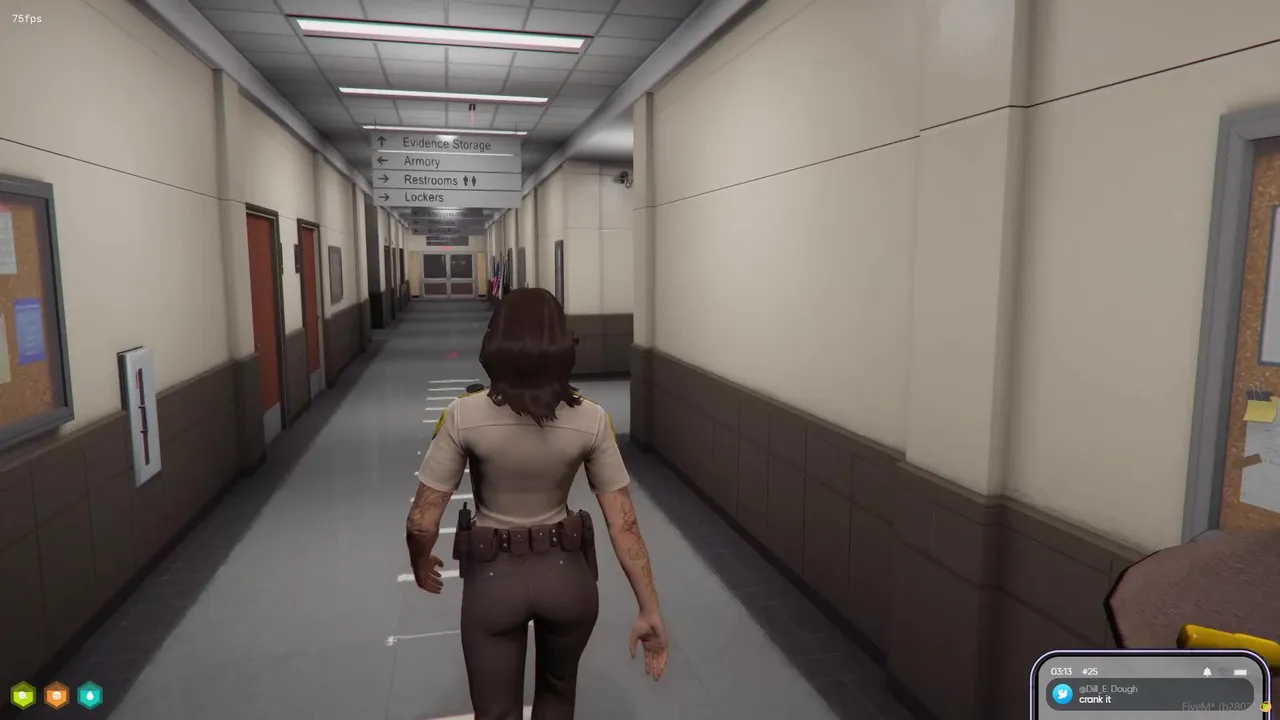Sheriff* Maeve Wolfe | BCSO | NP 4.0