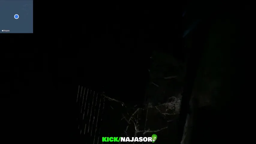 najasor