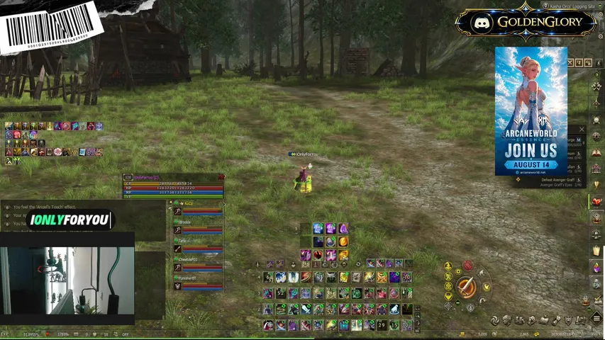ionlyforyou Lineage 2 stream image