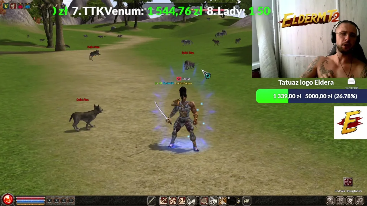 CodekMT2 live