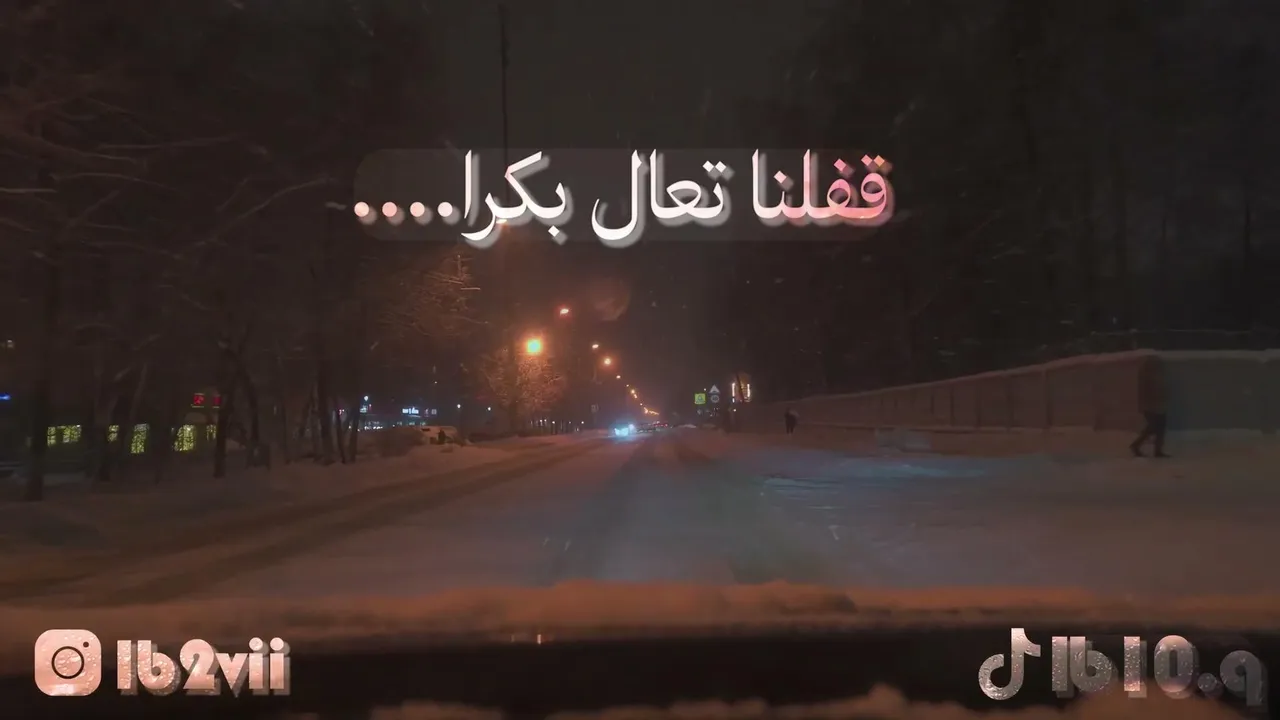 lBashayer live