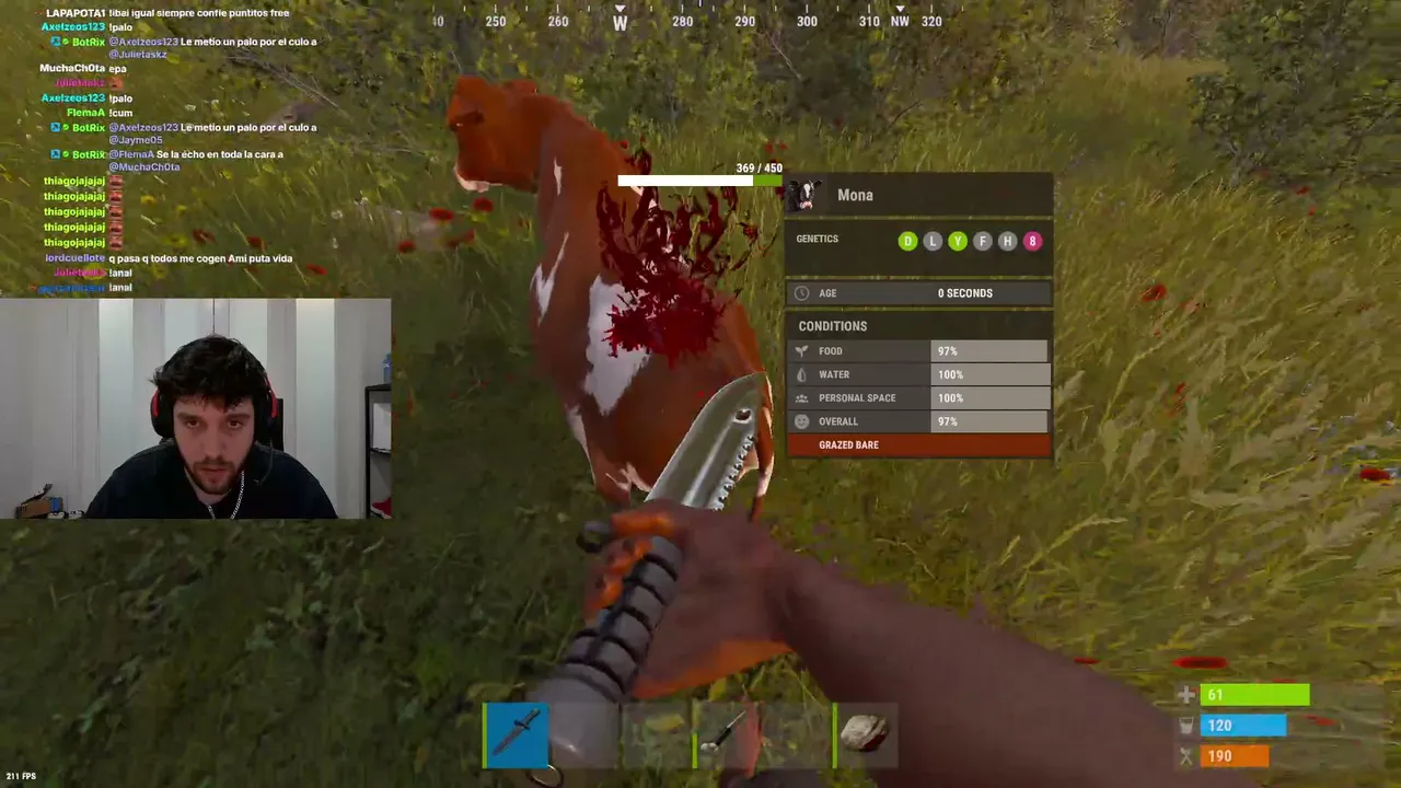 Kodd live stream