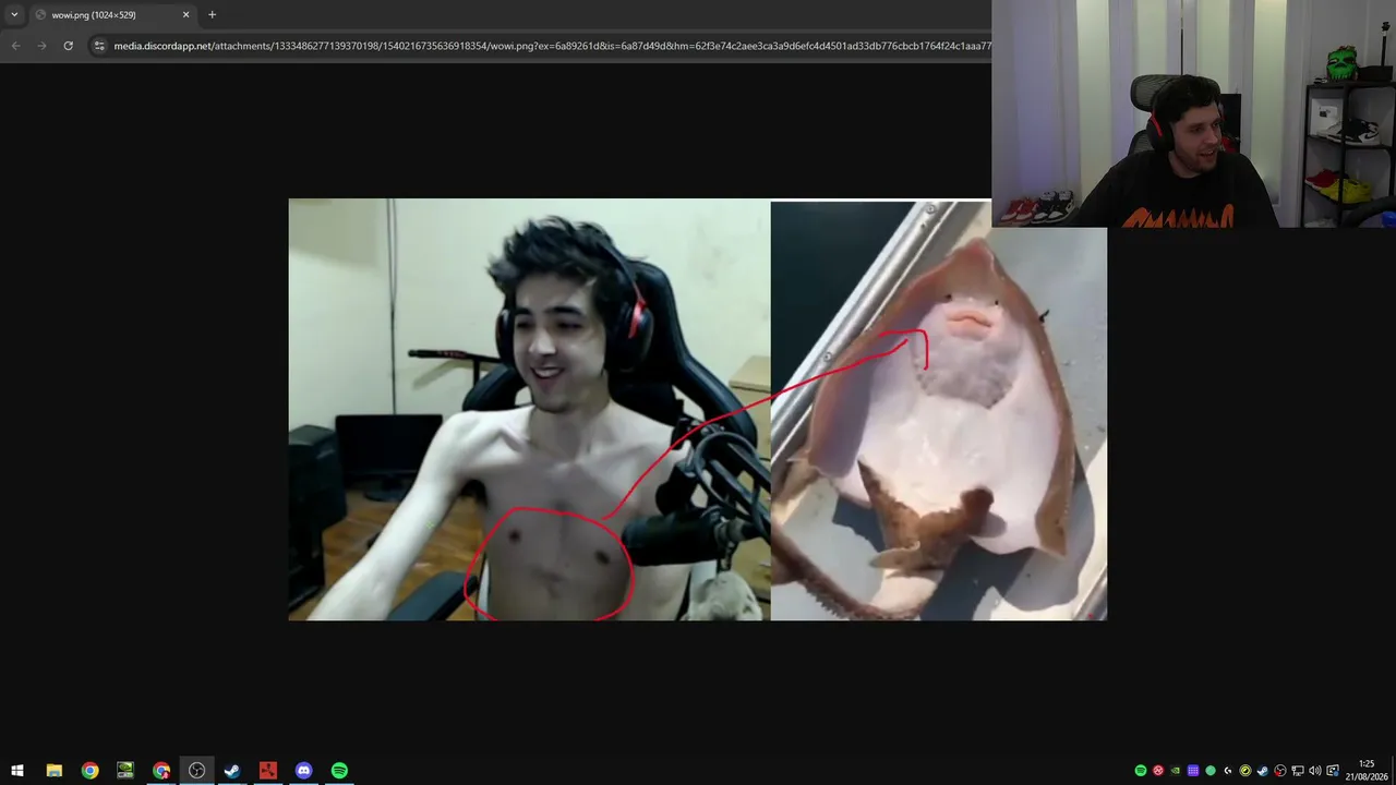 Kodd