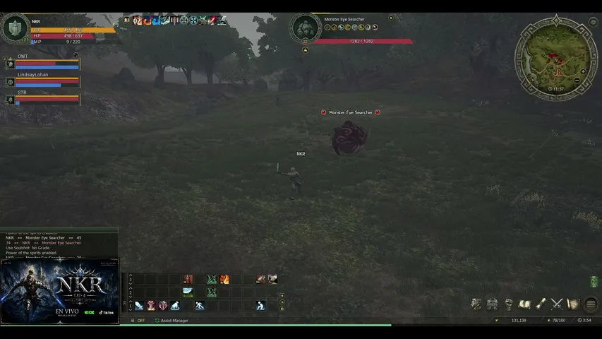 nkr-gg Lineage 2 stream image