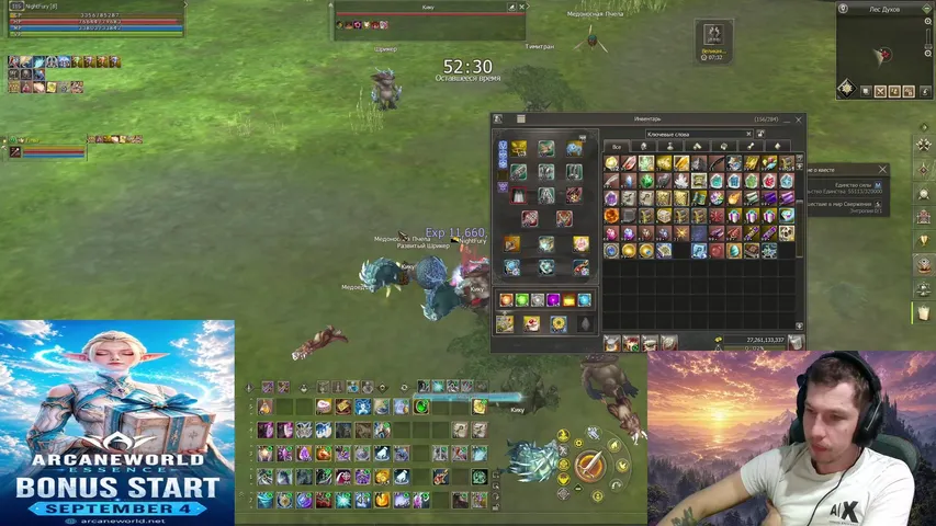 nightfuryl2 Lineage 2 stream image