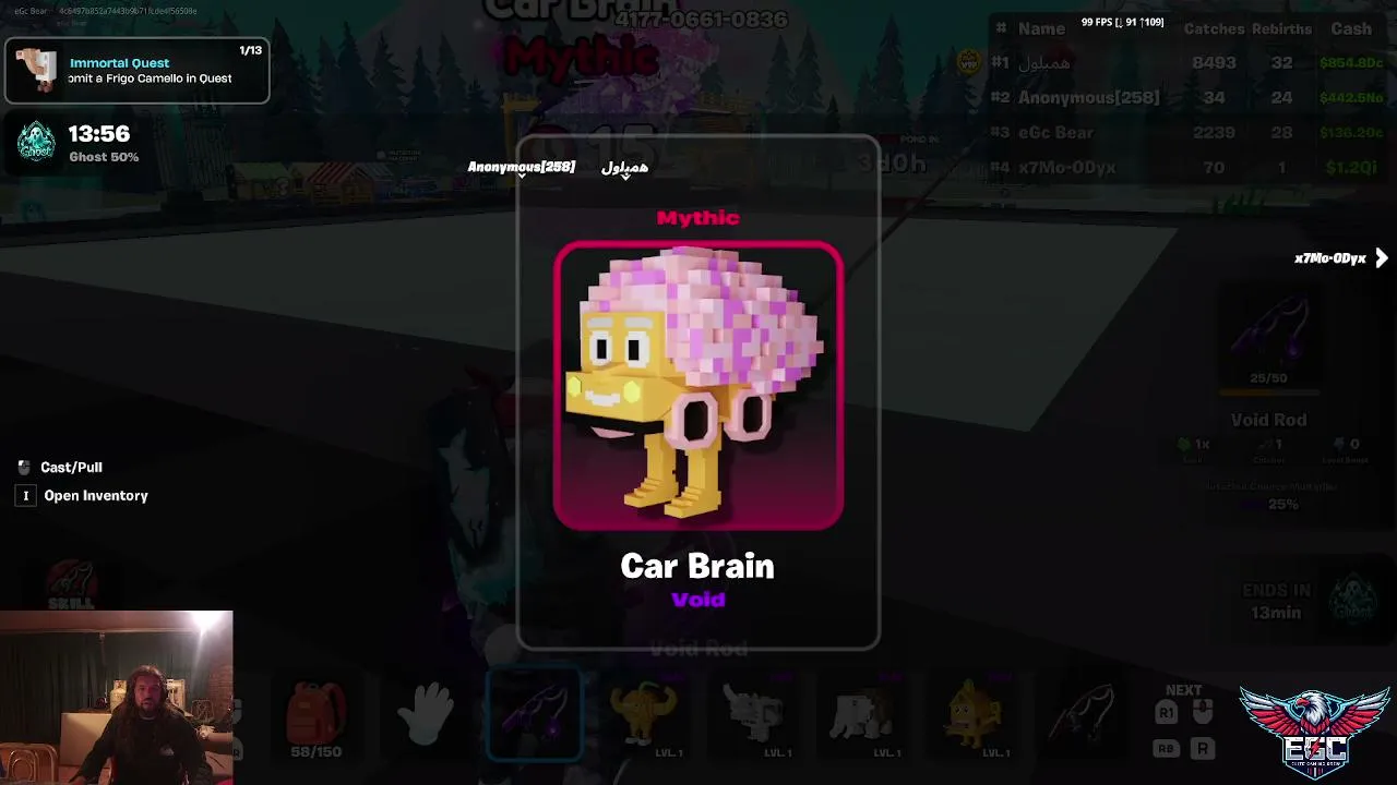 eGcBear live