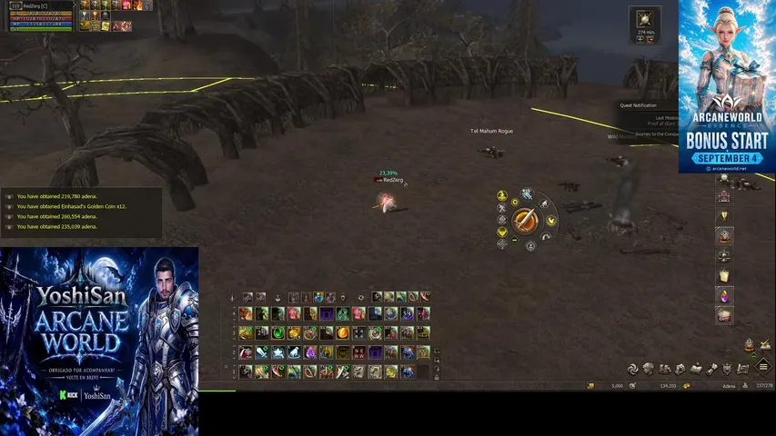 yoshisan13 Lineage 2 stream image