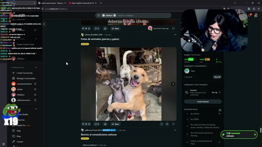 Preview of Rakkun's stream