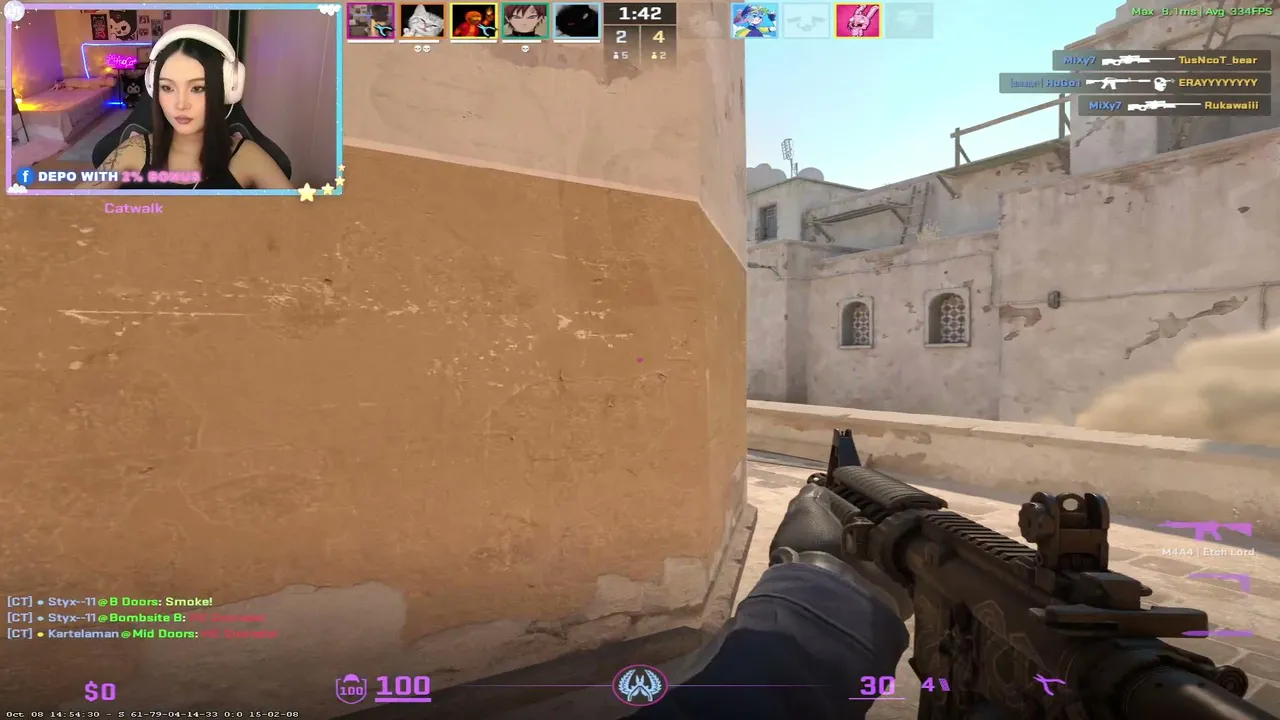 AvocatOvO live stream