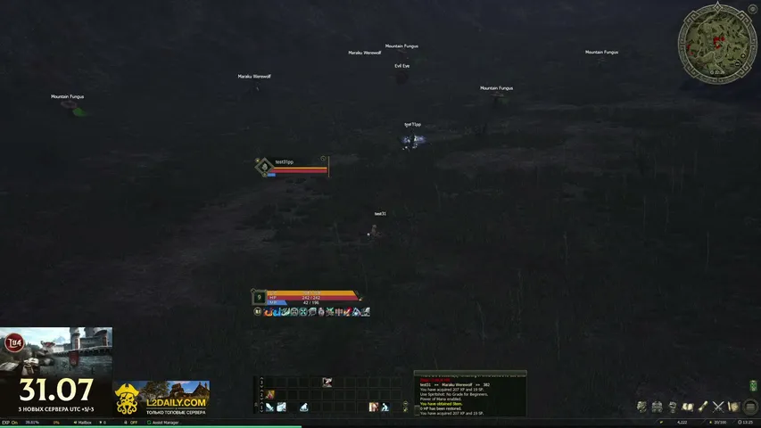 inewneo Lineage 2 stream image