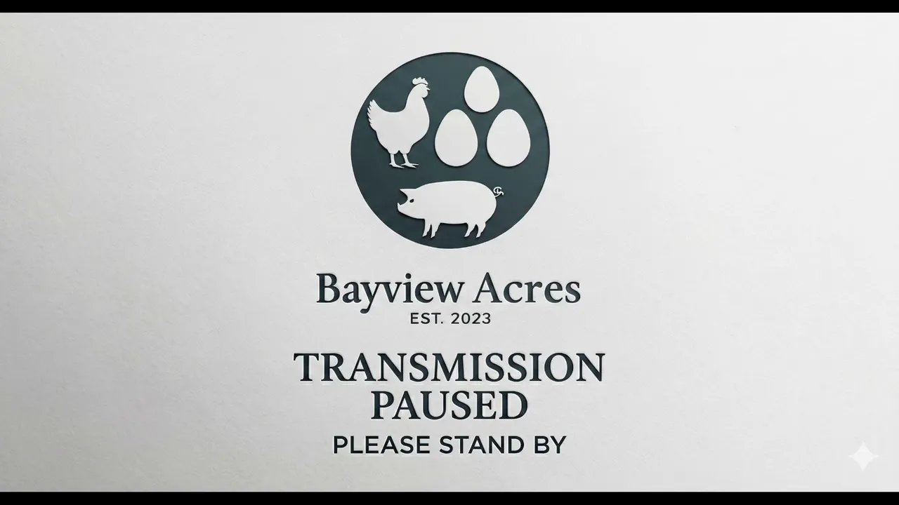 BayViewAcres live