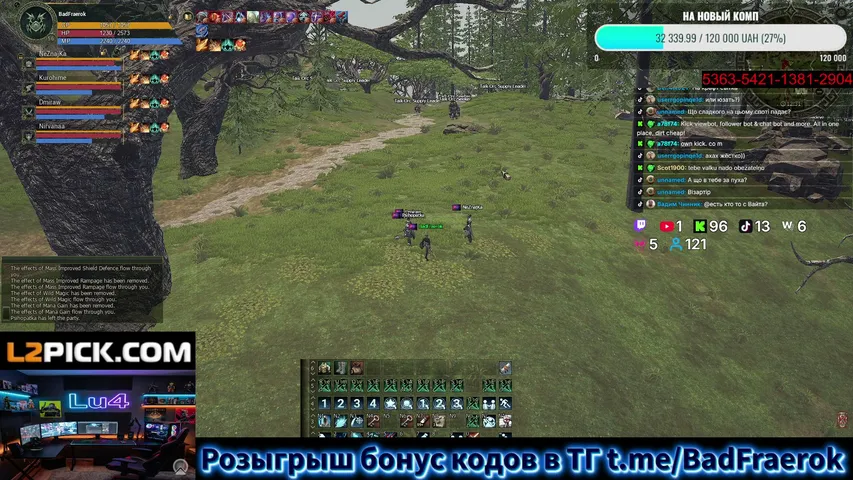 badfraerok Lineage 2 stream image