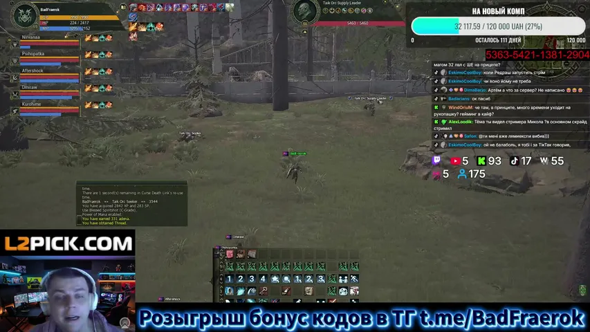 badfraerok Lineage 2 stream image